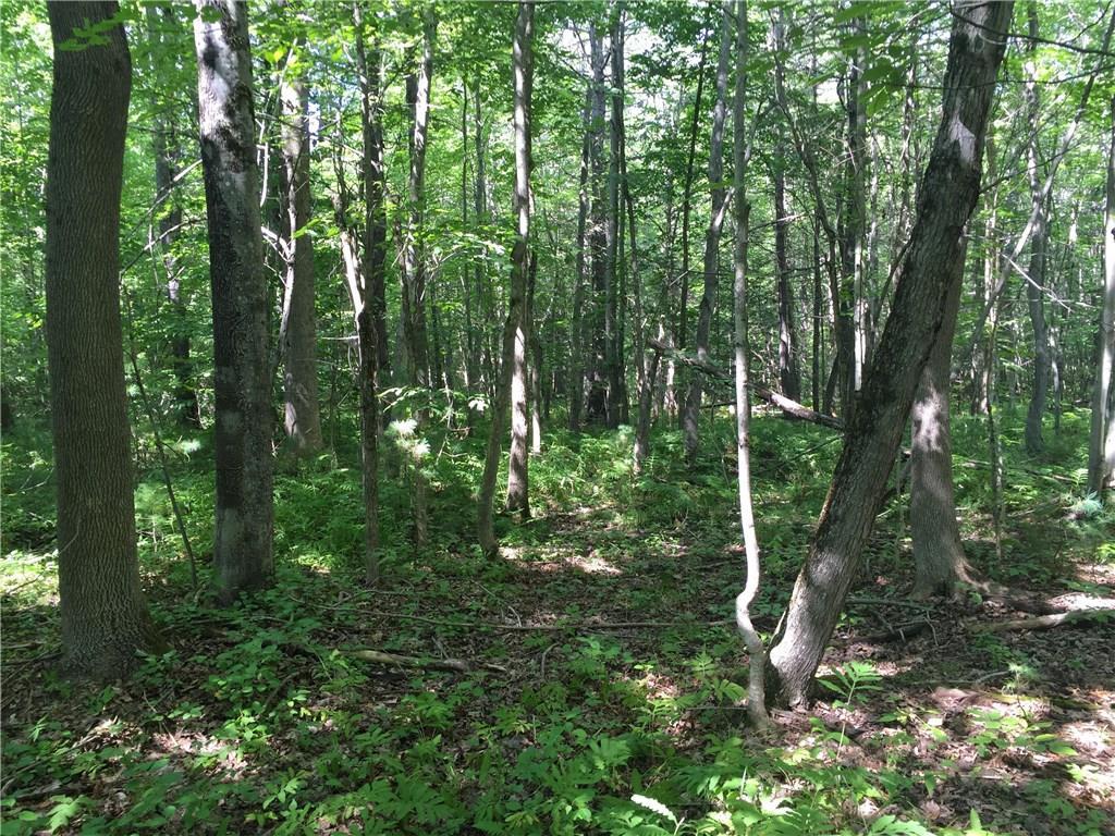 Lot 4 Spiller Hill Road Raymond, ME 04071 - Photo 8 of 20 Photo