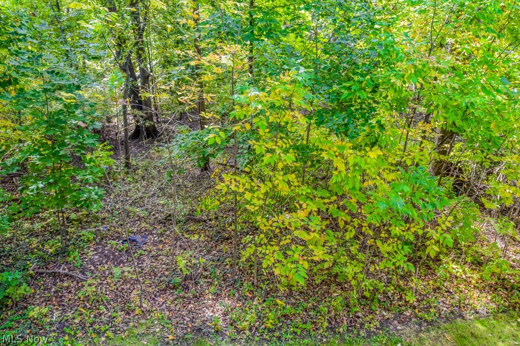 2376 Graham Road Stow, OH 44224 - Photo 20 of 21 Wooded backyard.
