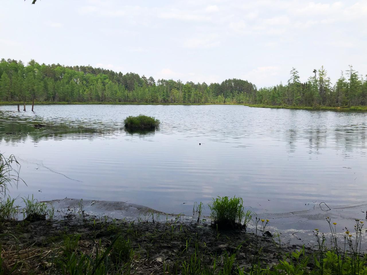 3750 North Faust Lk Road Rhinelander, WI 54501 - Photo 74 of 79 Gallery Image 74