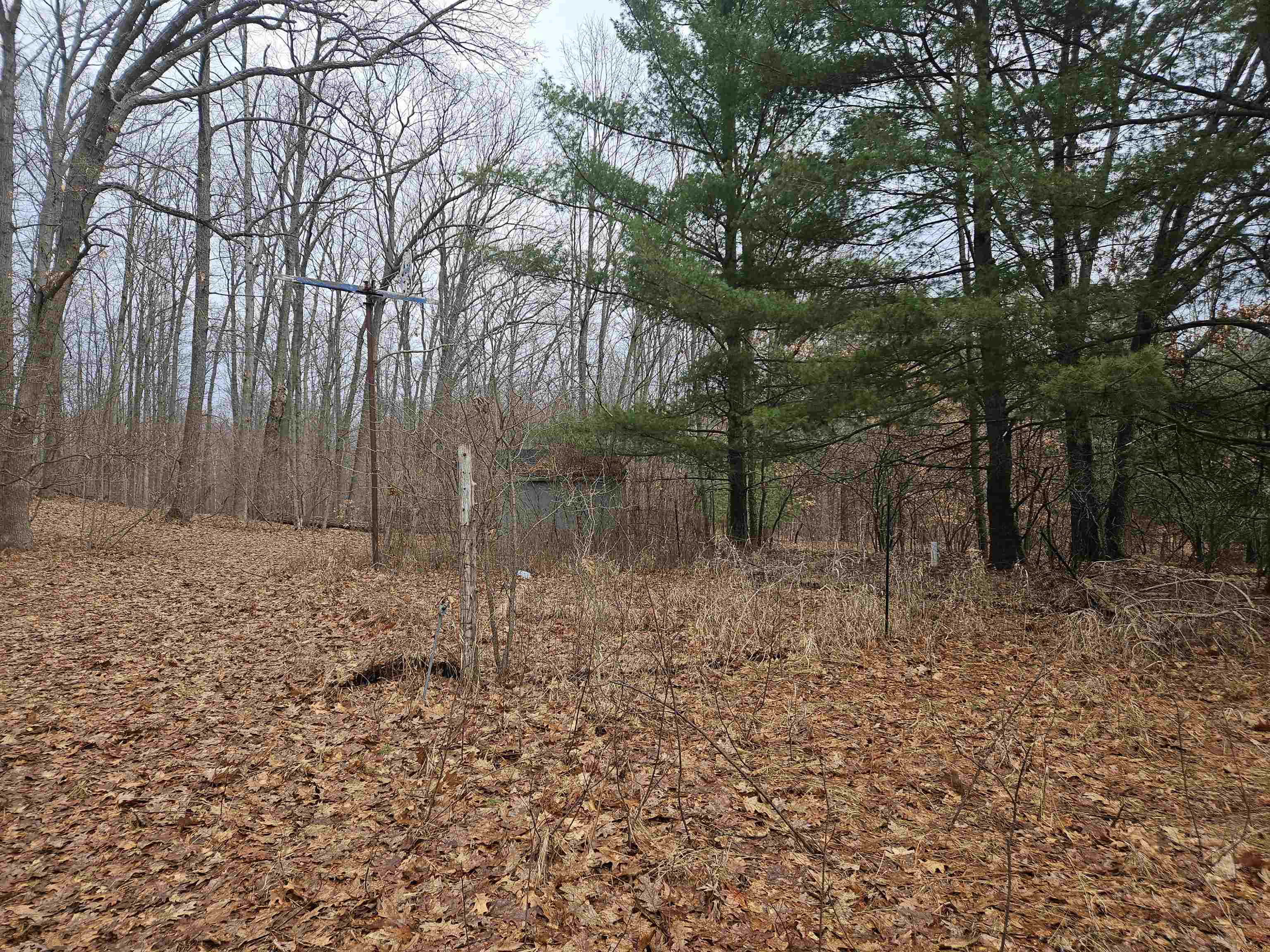 2236 Cedar Road Harrison, MI 48625 - Photo 35 of 54