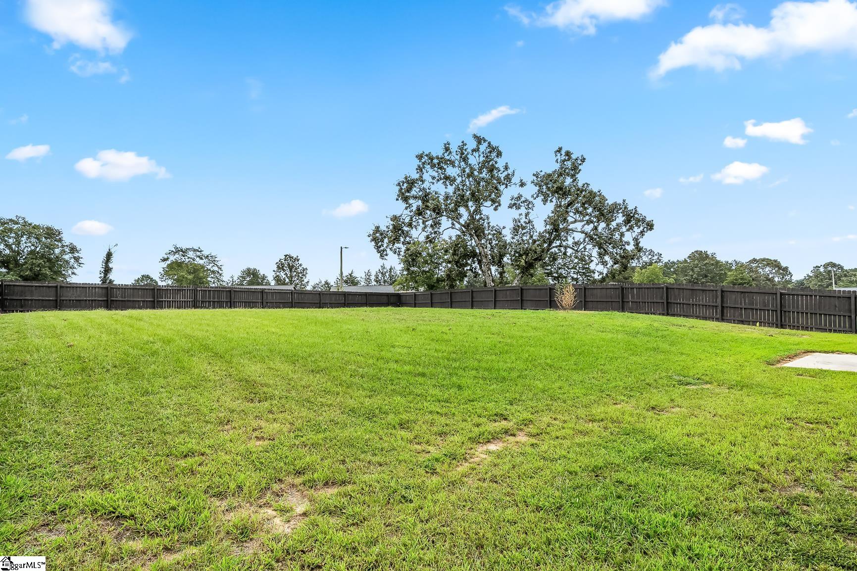 1609 Currys Lake Road Gray Court, SC 29645 - Photo 22 of 23 Gallery Image 22