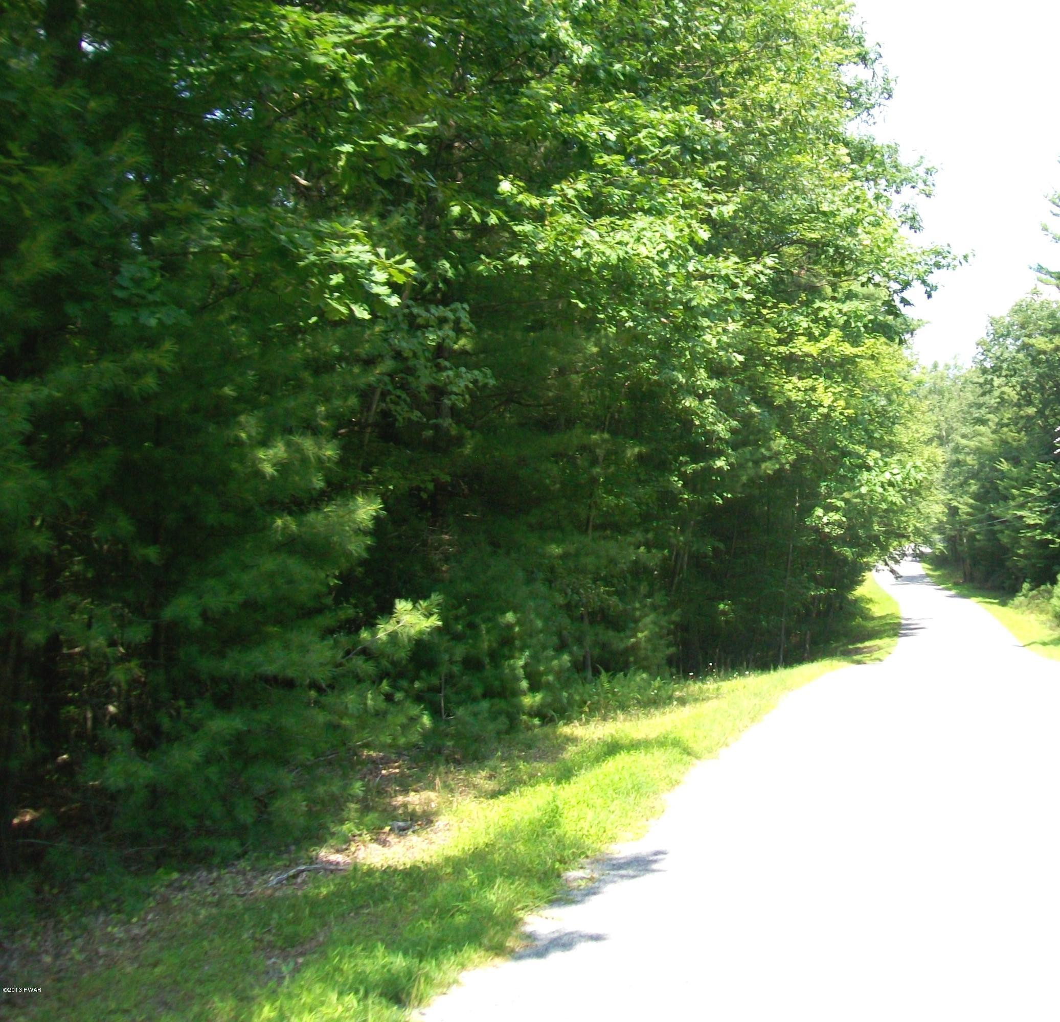 590 Creek Road Dingmans Ferry, PA 18328 - Photo 3 of 5
