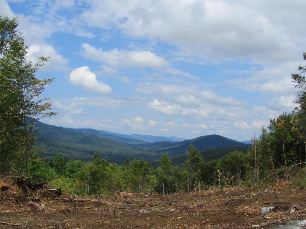 1700 Charles Wilson Road Bethel, VT 05032 - Photo 1 of 1