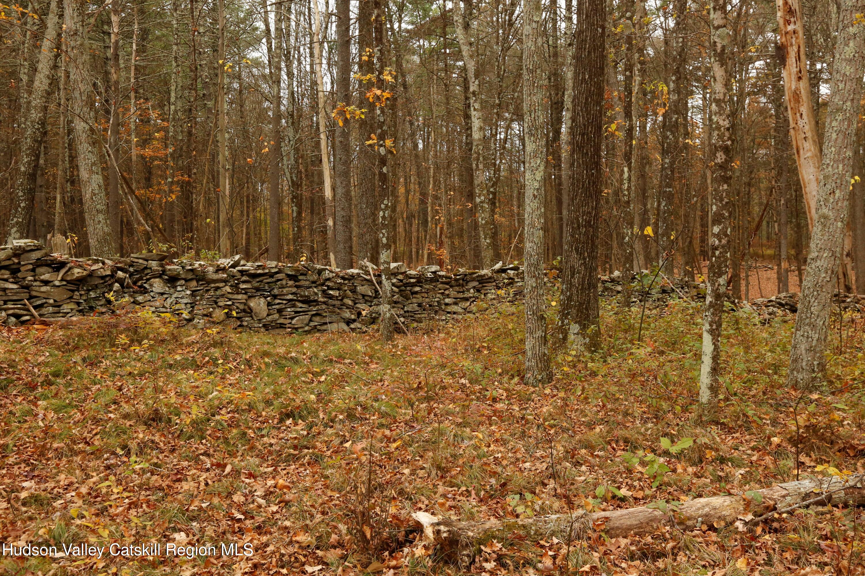 424 High Falls Road Saugerties, NY 12477 - Photo 13 of 24