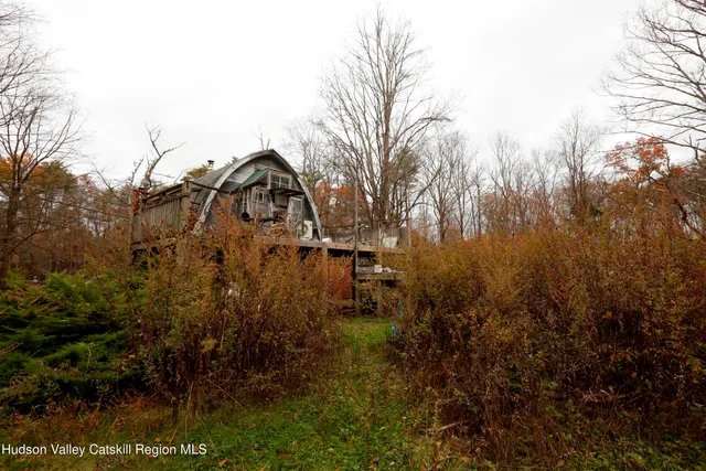 a view of a forest with trees in the background