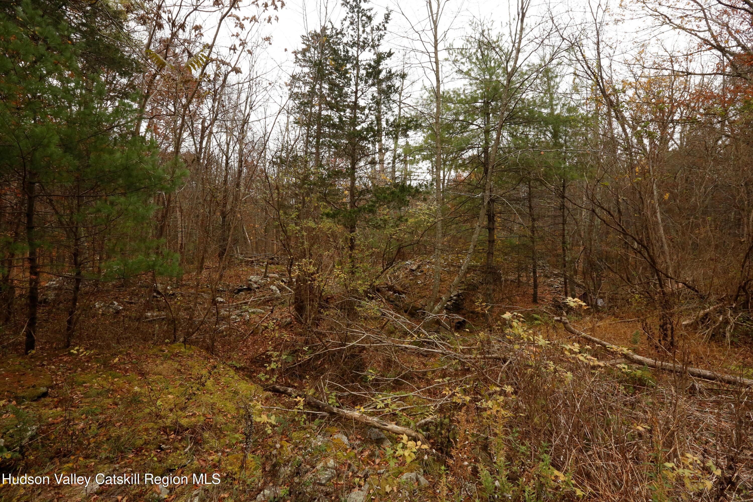 424 High Falls Road Saugerties, NY 12477 - Photo 17 of 24 a view of a forest with trees in the background