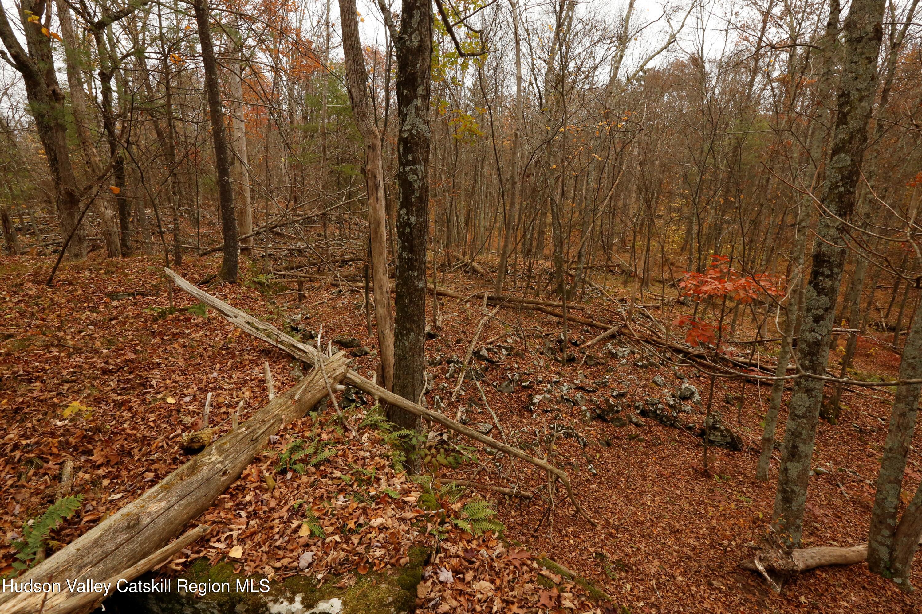 424 High Falls Road Saugerties, NY 12477 - Photo 19 of 24 a view of a backyard