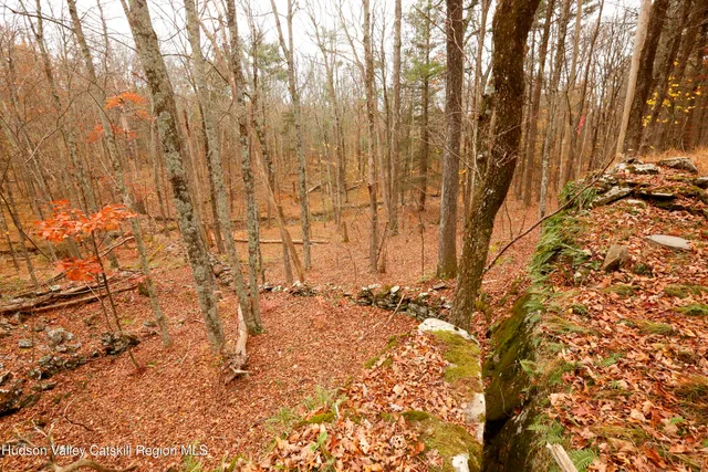 a view of covered with snow