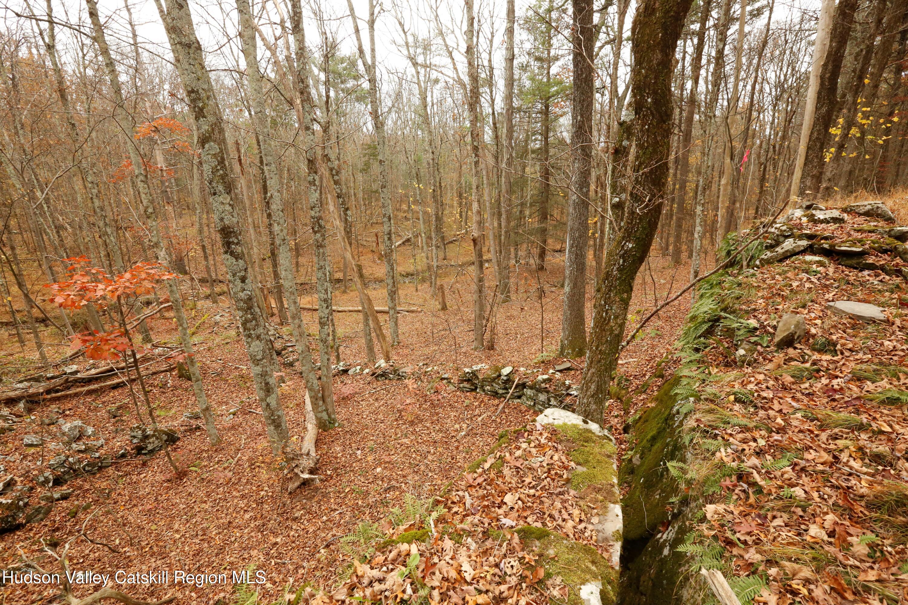 424 High Falls Road Saugerties, NY 12477 - Photo 3 of 24 a view of covered with snow