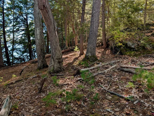 $510,000 | Lot 003905 White Road, Newcastle, ME 04553
