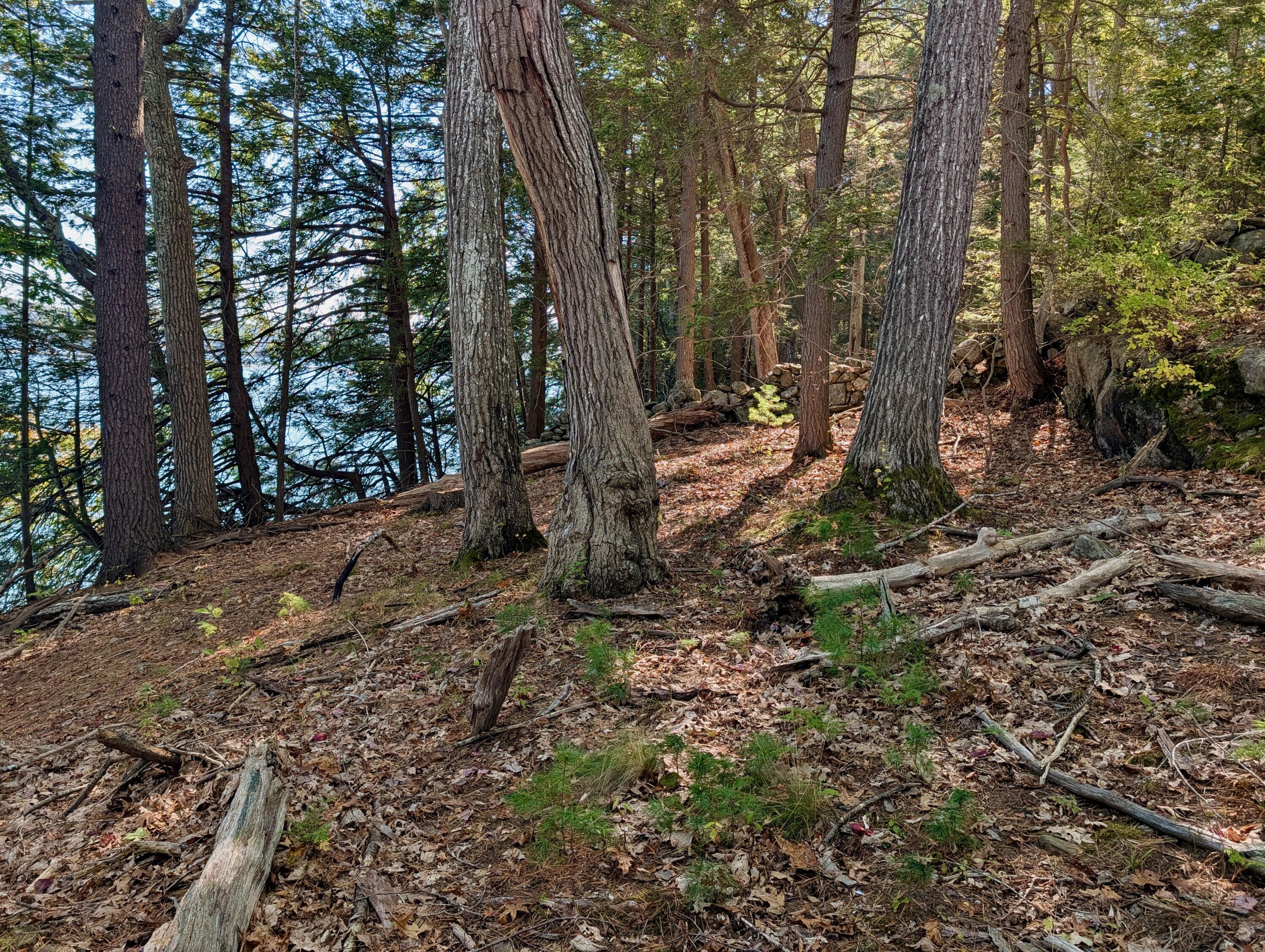 Lot 003905 White Road Newcastle, ME 04553 - Photo 13 of 17 PXL_20251006_170410381