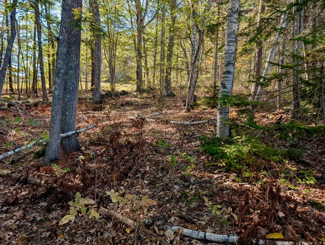 $510,000 | Lot 003905 White Road, Newcastle, ME 04553