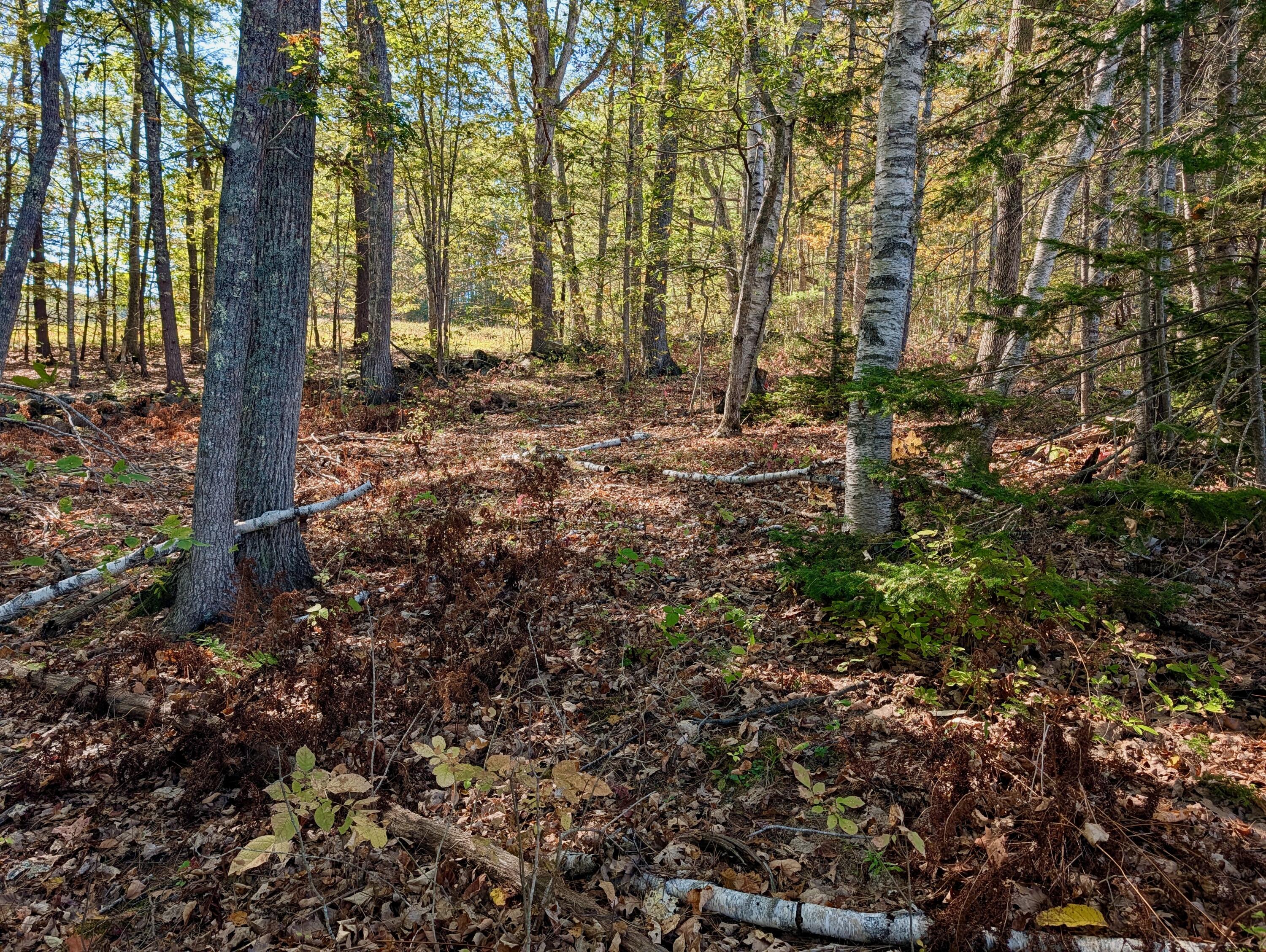 Lot 003905 White Road Newcastle, ME 04553 - Photo 14 of 17 PXL_20251006_170505112