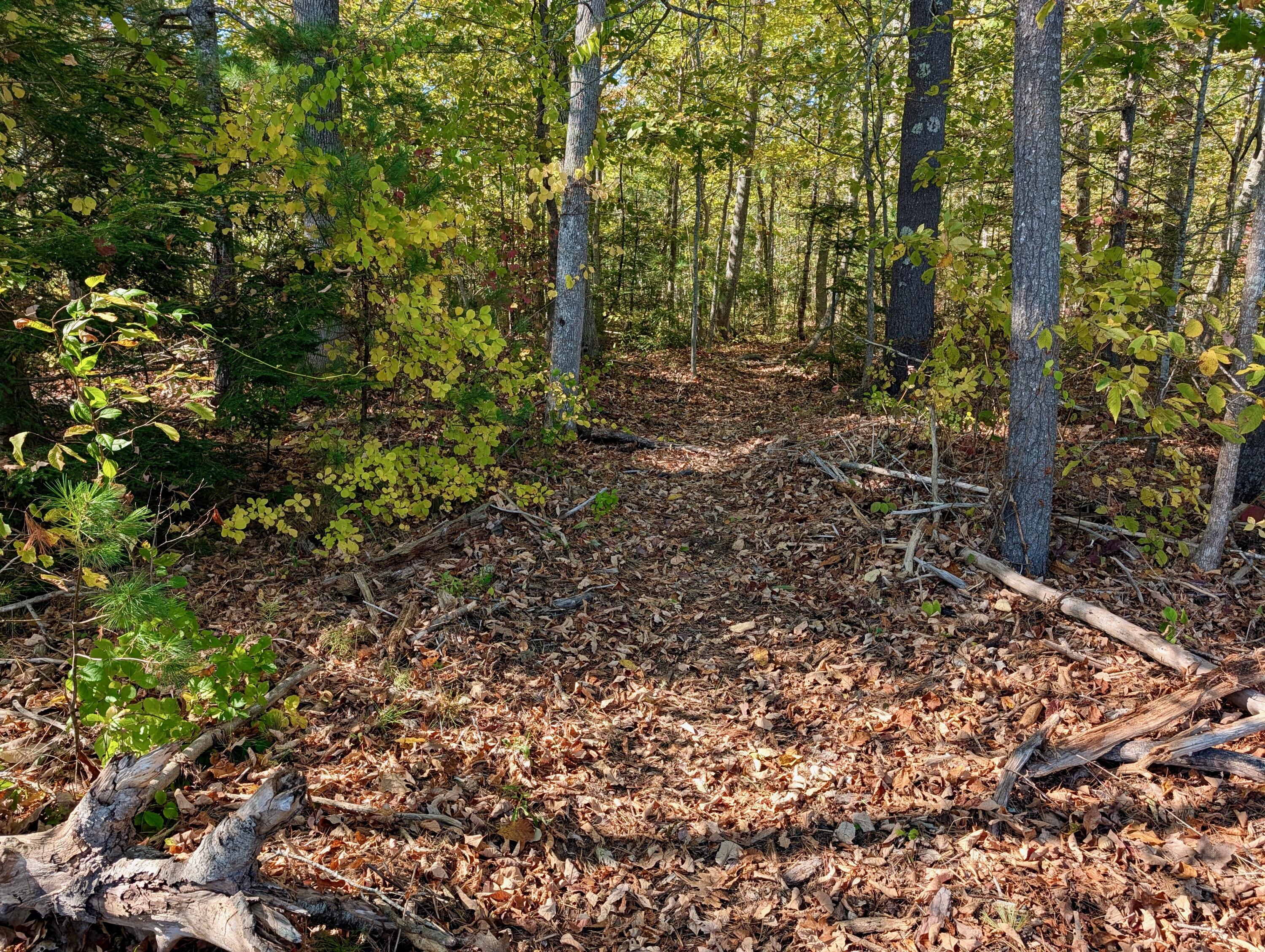 Lot 003905 White Road Newcastle, ME 04553 - Photo 17 of 17 PXL_20251006_171051049