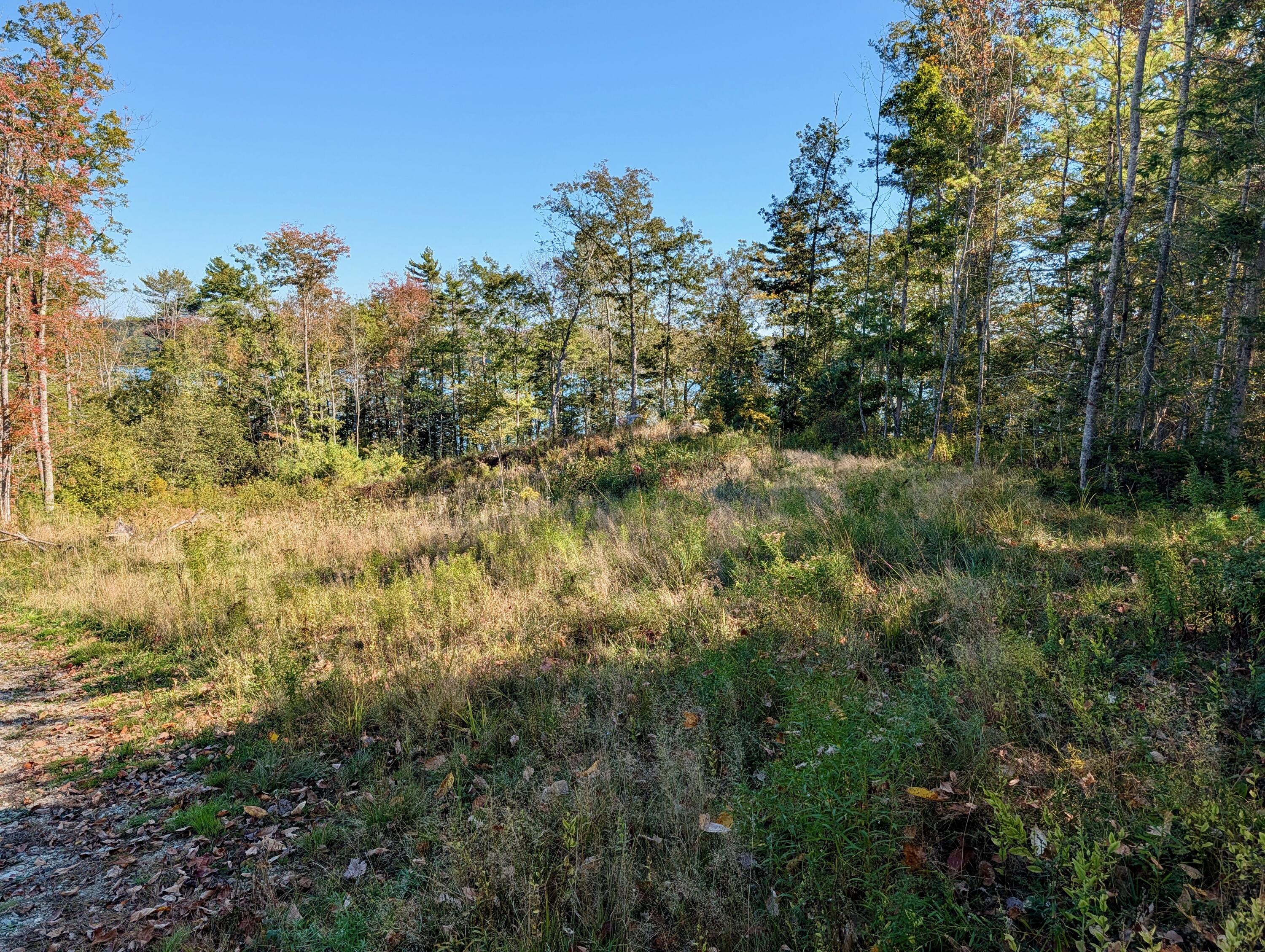 Lot 003905 White Road Newcastle, ME 04553 - Photo 7 of 17 PXL_20251006_165320662