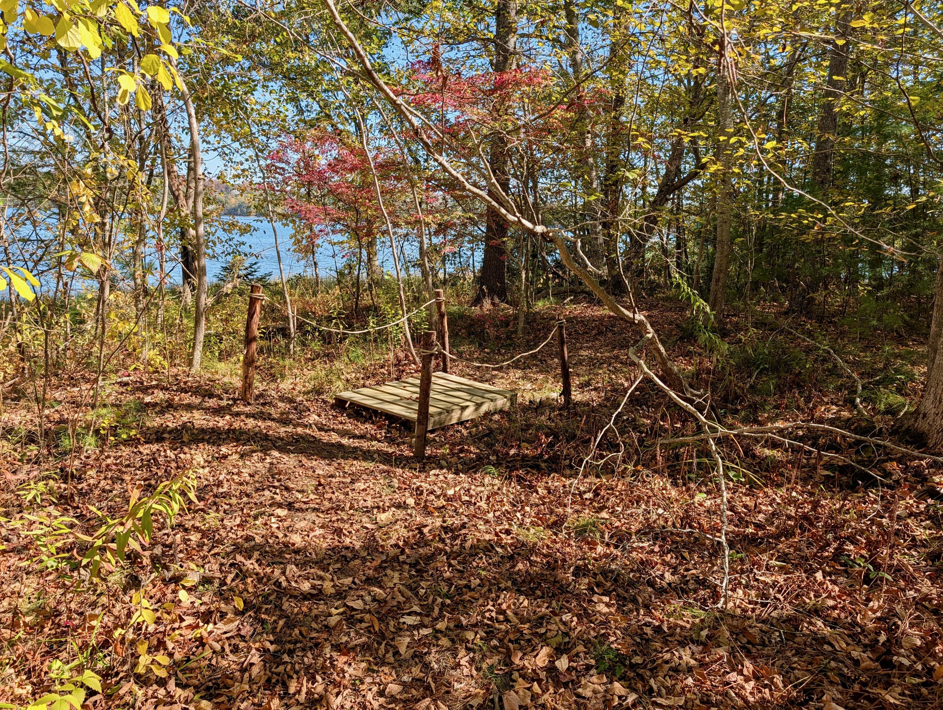 Lot 003905 White Road Newcastle, ME 04553 - Photo 9 of 17 PXL_20251006_165730182