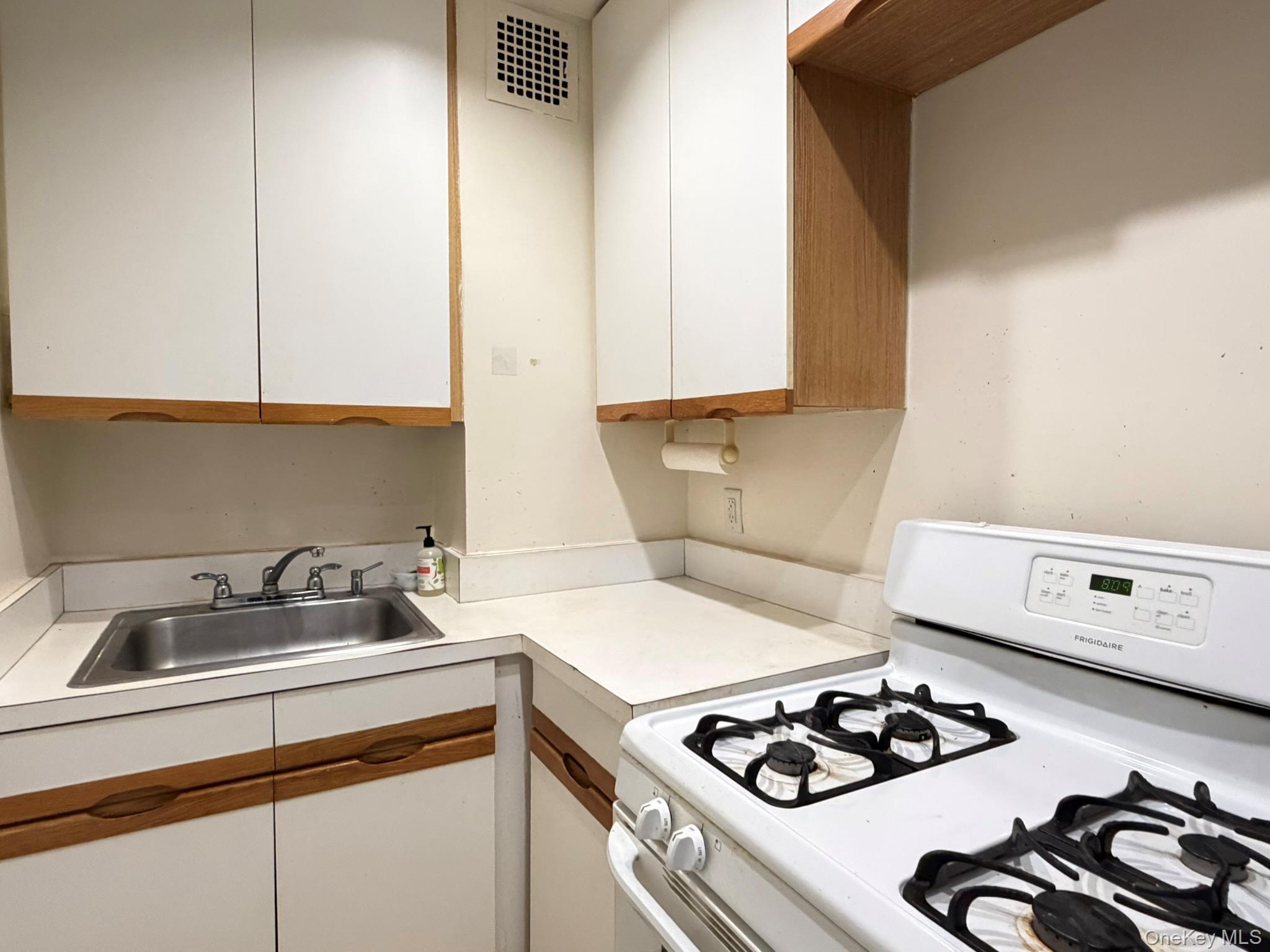 185 South Middle Neck Road, Unit 3C Great Neck, NY 11021 - Photo 6 of 13