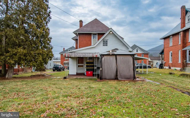 a picture of a yard with plants and large tree
