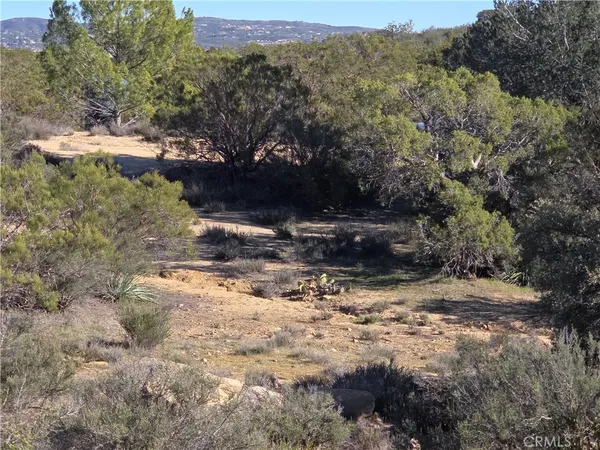a view of a yard with trees