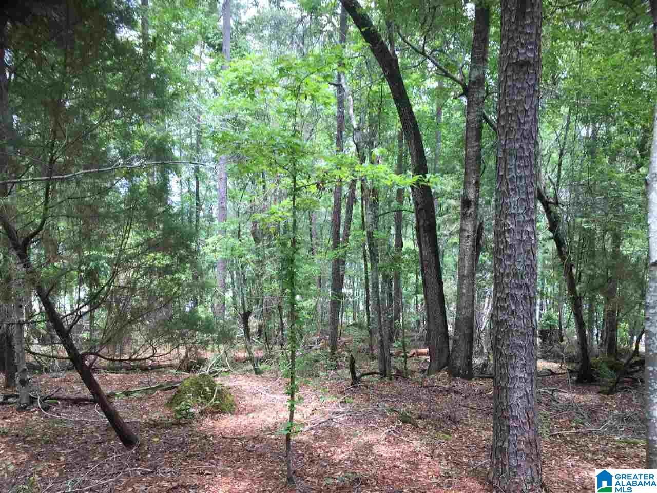 Black Acres Road, Unit 34 Odenville, AL 35120 - Photo 7 of 19