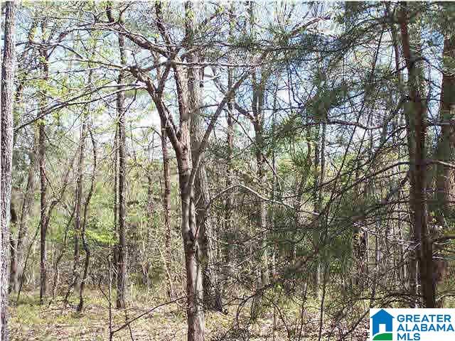 0 Homestead Lane Remlap, AL 35133 - Photo 21 of 23