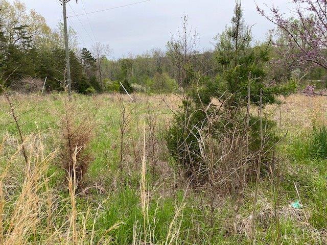 2075 New Bethel Road Meherrin, VA 23954 - Photo 32 of 32 a view of a forest with a house