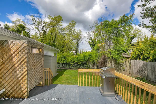 a view of a backyard with plants and tree