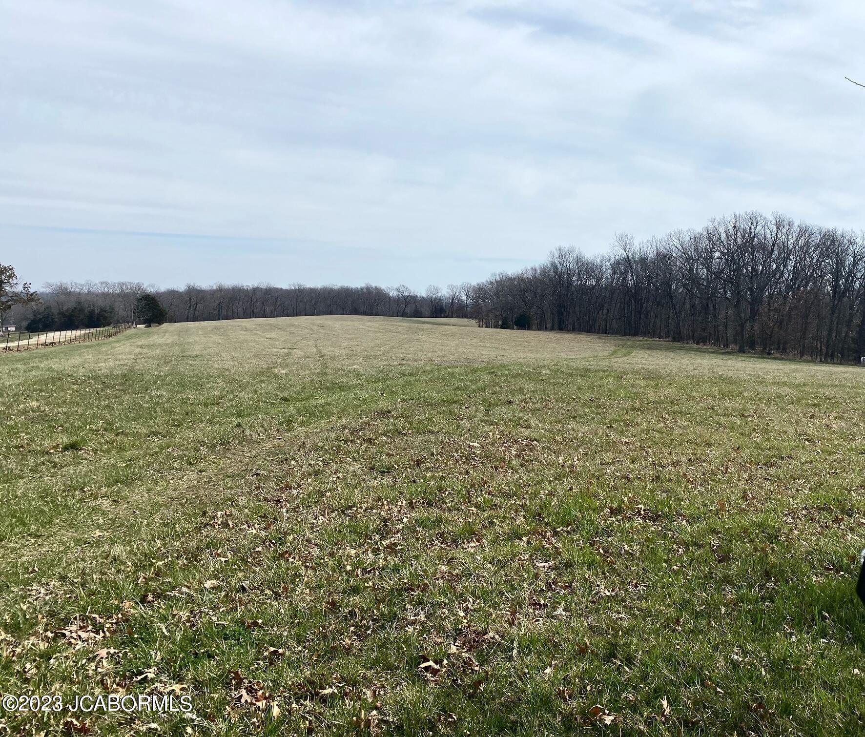 Tbd Murphy Ford Road Centertown, MO 65023 - Photo 6 of 7