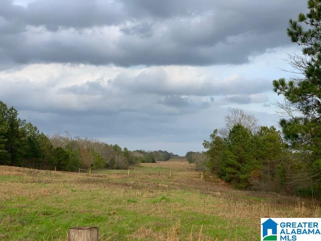 0 County Road 99, Unit 1 Verbena, AL 36091 - Photo 1 of 11
