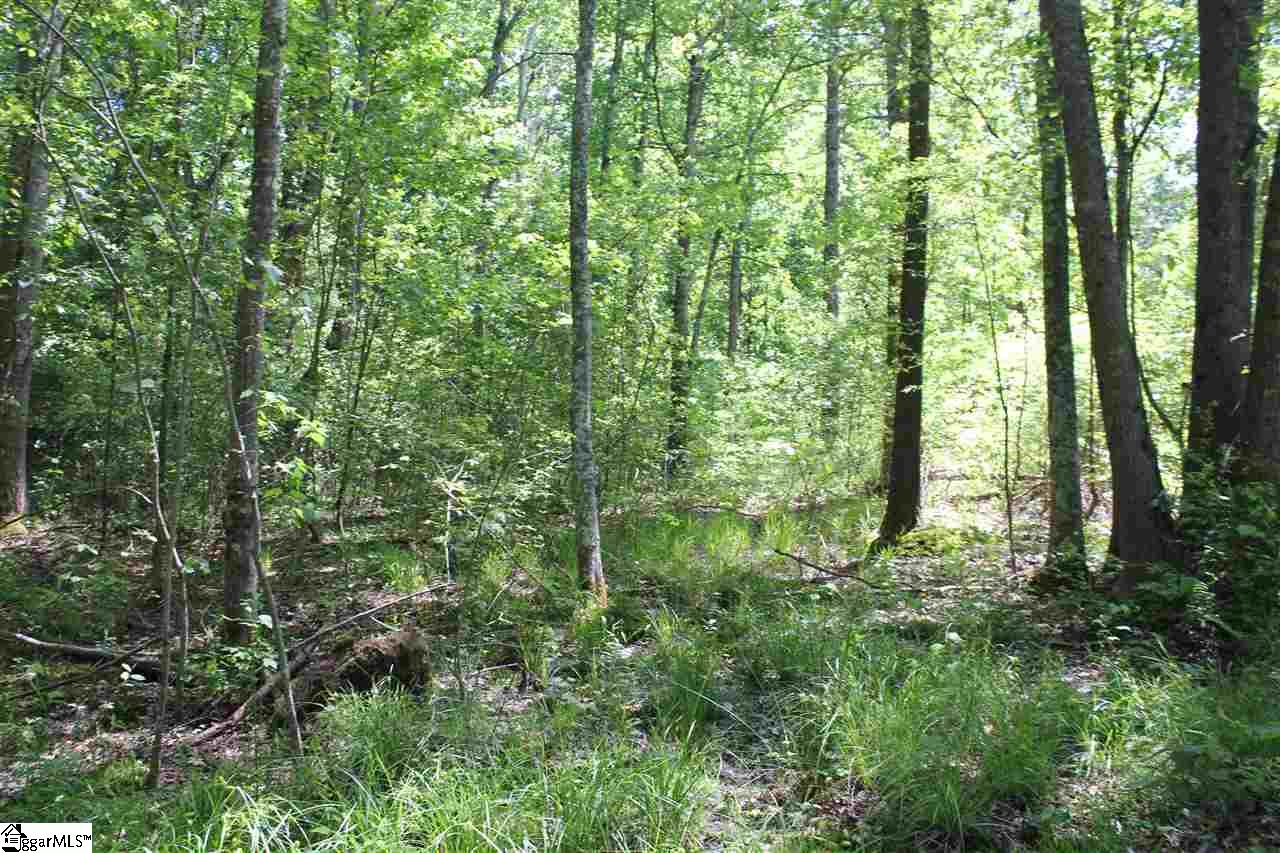 688 Batesville Road Greer, SC 29651 - Photo 13 of 14 Gallery Image 13