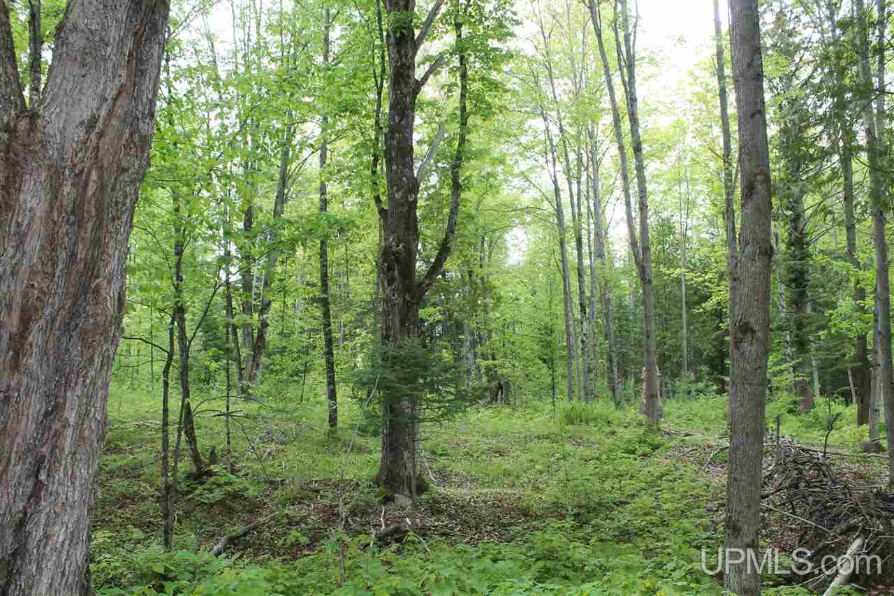 Tbd Off Kyllonen Road, Unit LAT 46 75685 LON 88 7526 Nisula, MI 49952 - Photo 12 of 24