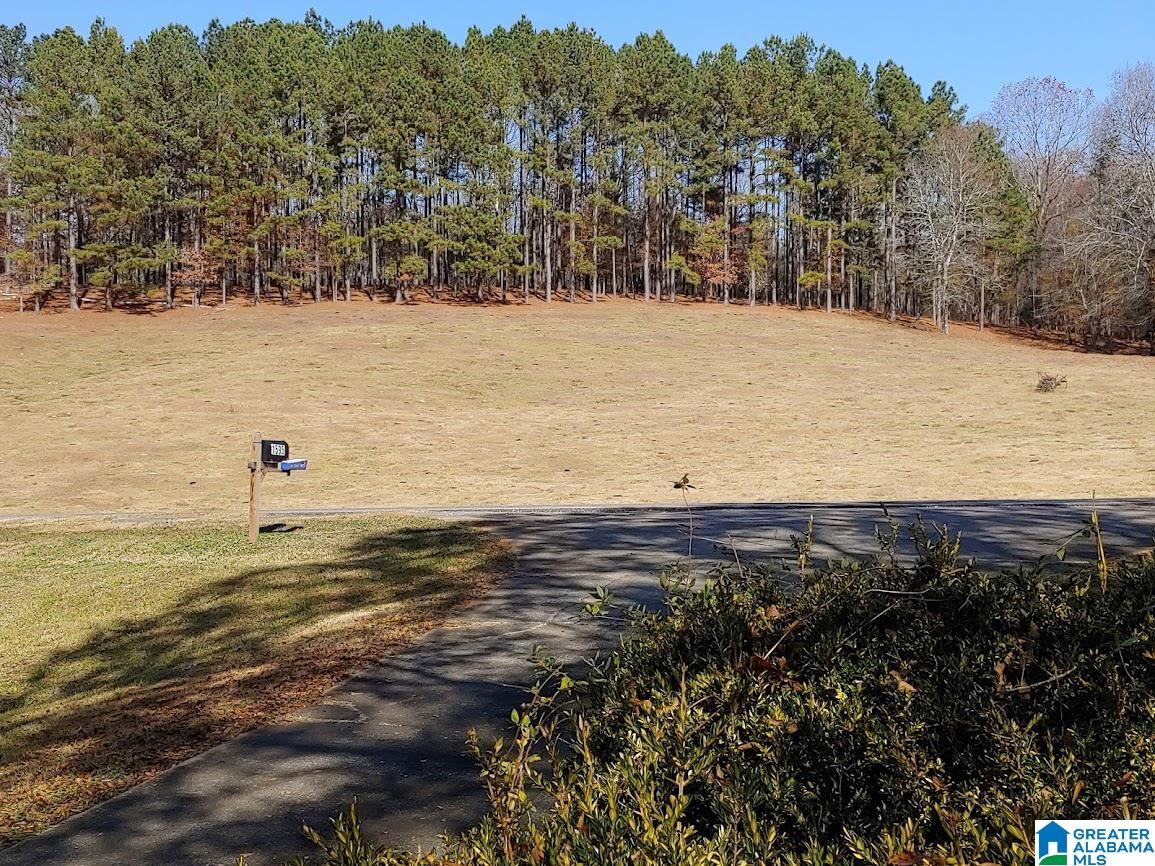 1595 Alpine Winterboro Road Alpine, AL 35014 - Photo 7 of 15 Gallery Image 7