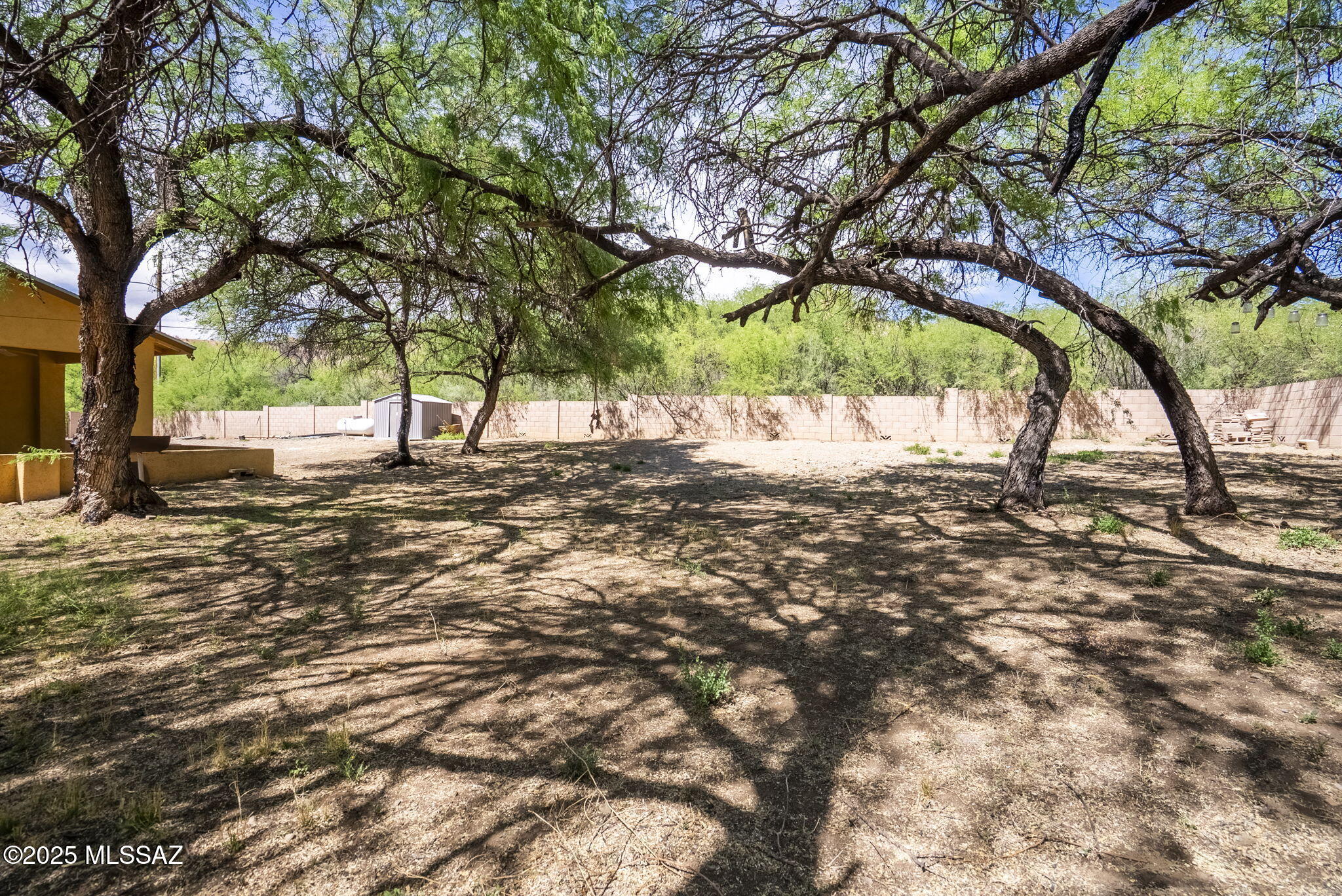 1351 Alma Court Rio Rico, AZ 85648 - Photo 39 of 47