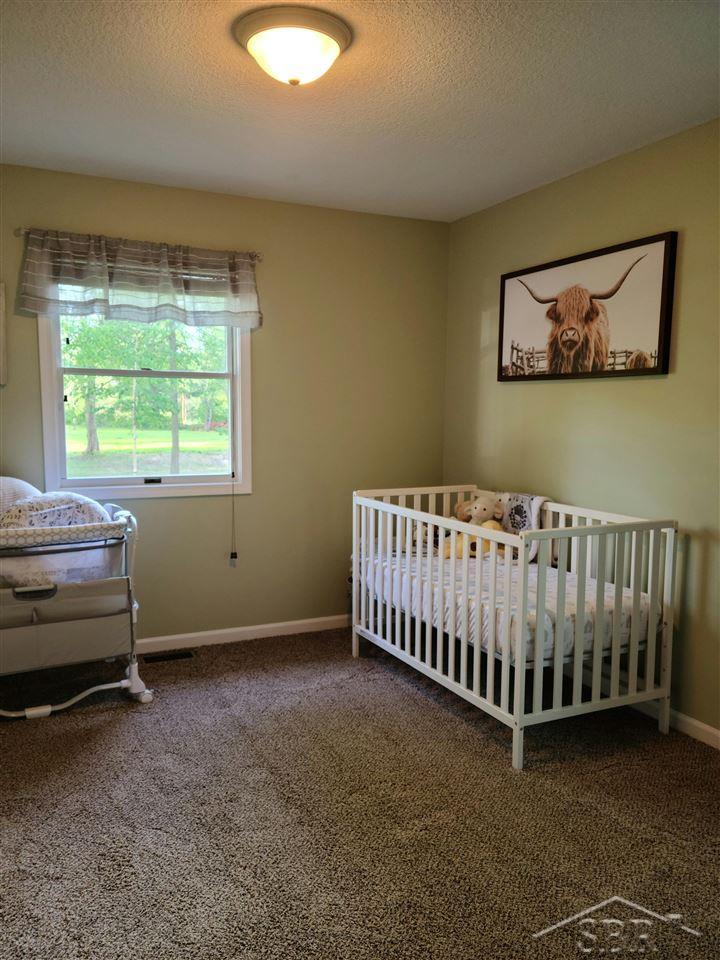 5260 West Birch Run Road St. Charles, MI 48655 - Photo 8 of 10 50042634-7.JPG
