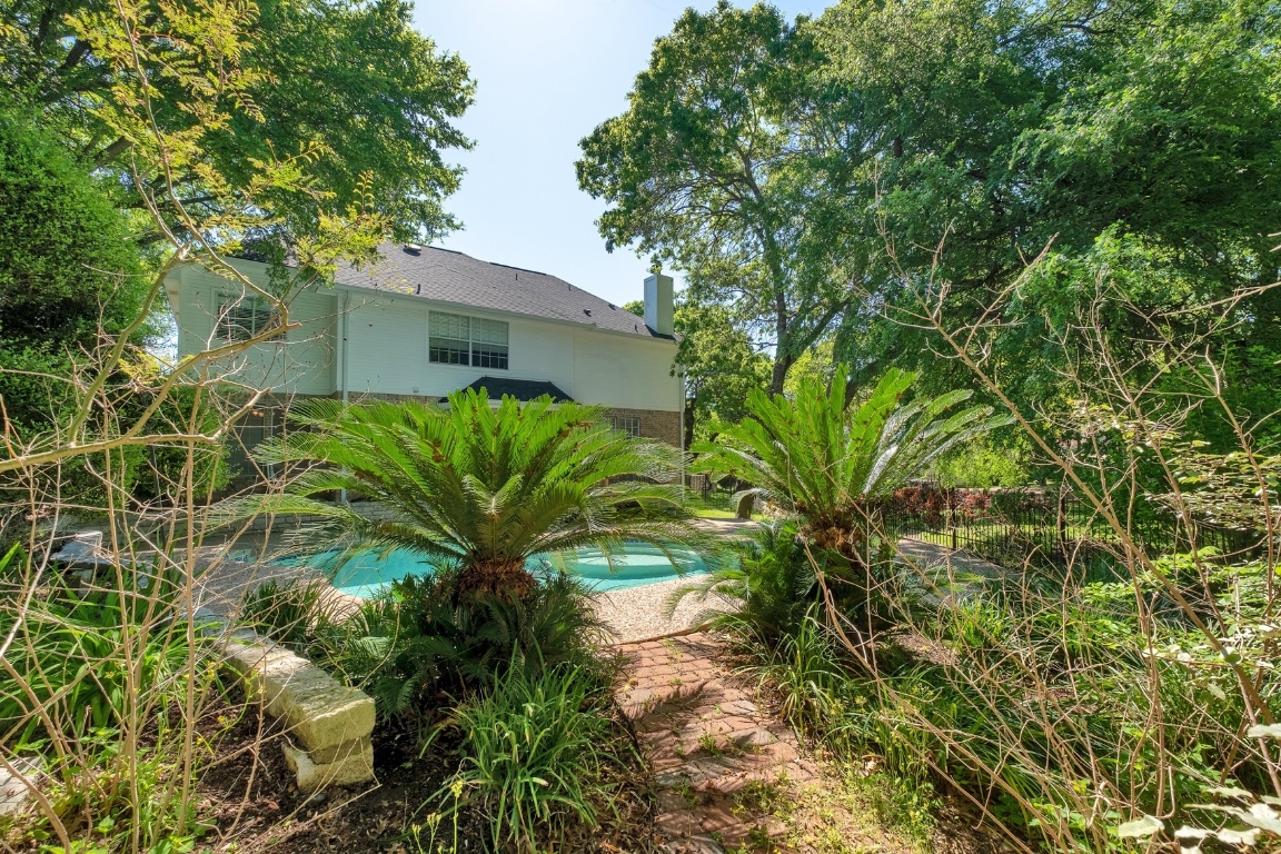 30103 Wingfoot Cove Georgetown, TX 78628 - Photo 37 of 38 a close up of a plant in a garden