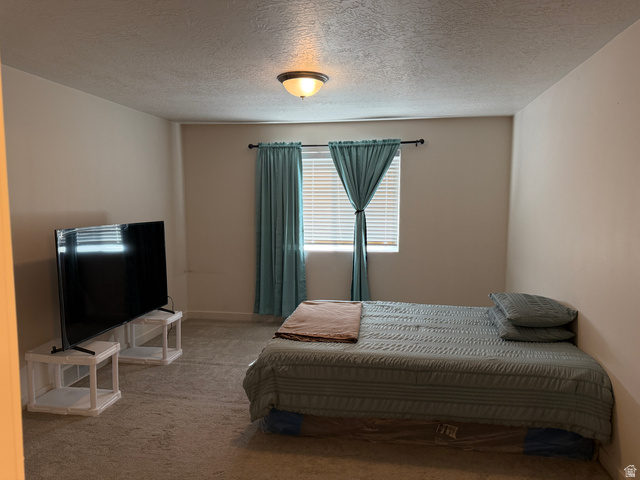 7743 West Mount Elinor Road Magna, UT 84044 - Photo 12 of 24