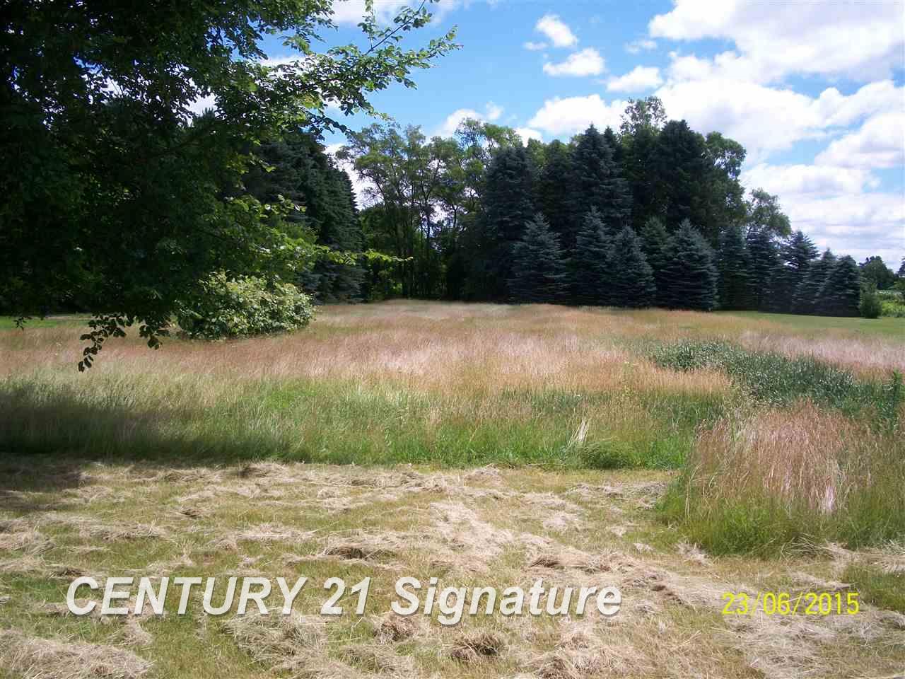 165 South Chapin Road Merrill, MI 48637 - Photo 11 of 13