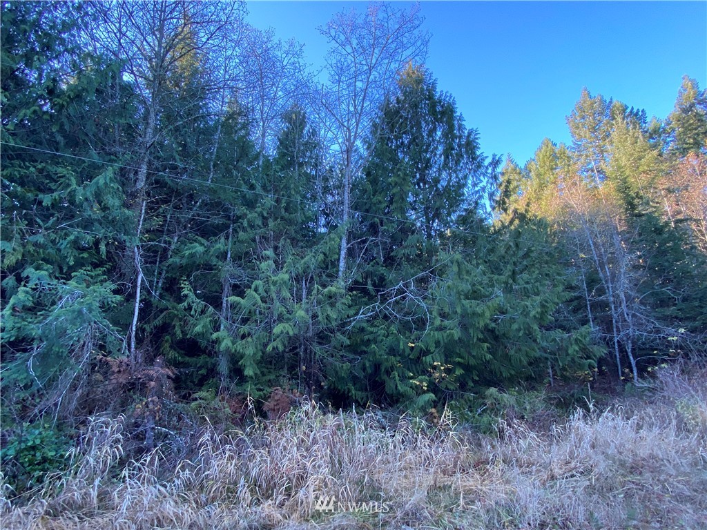 133 North Eldridge Road Sequim, WA 98382 - Photo 1 of 15