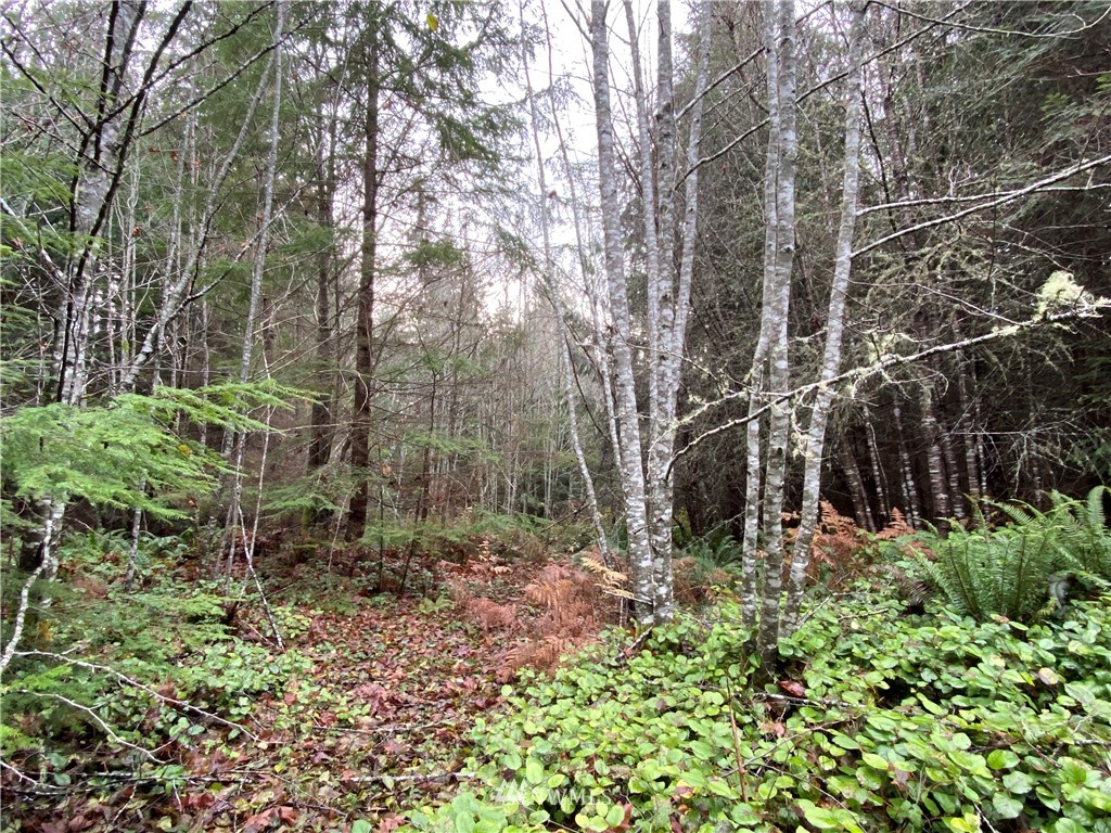 133 North Eldridge Road Sequim, WA 98382 - Photo 13 of 15