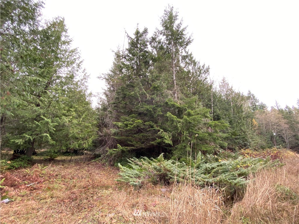 133 North Eldridge Road Sequim, WA 98382 - Photo 15 of 15