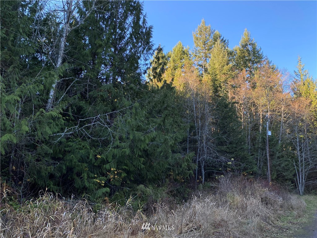 133 North Eldridge Road Sequim, WA 98382 - Photo 4 of 15