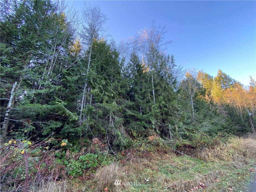 133 North Eldridge Road Sequim, WA 98382 - Photo 5 of 15