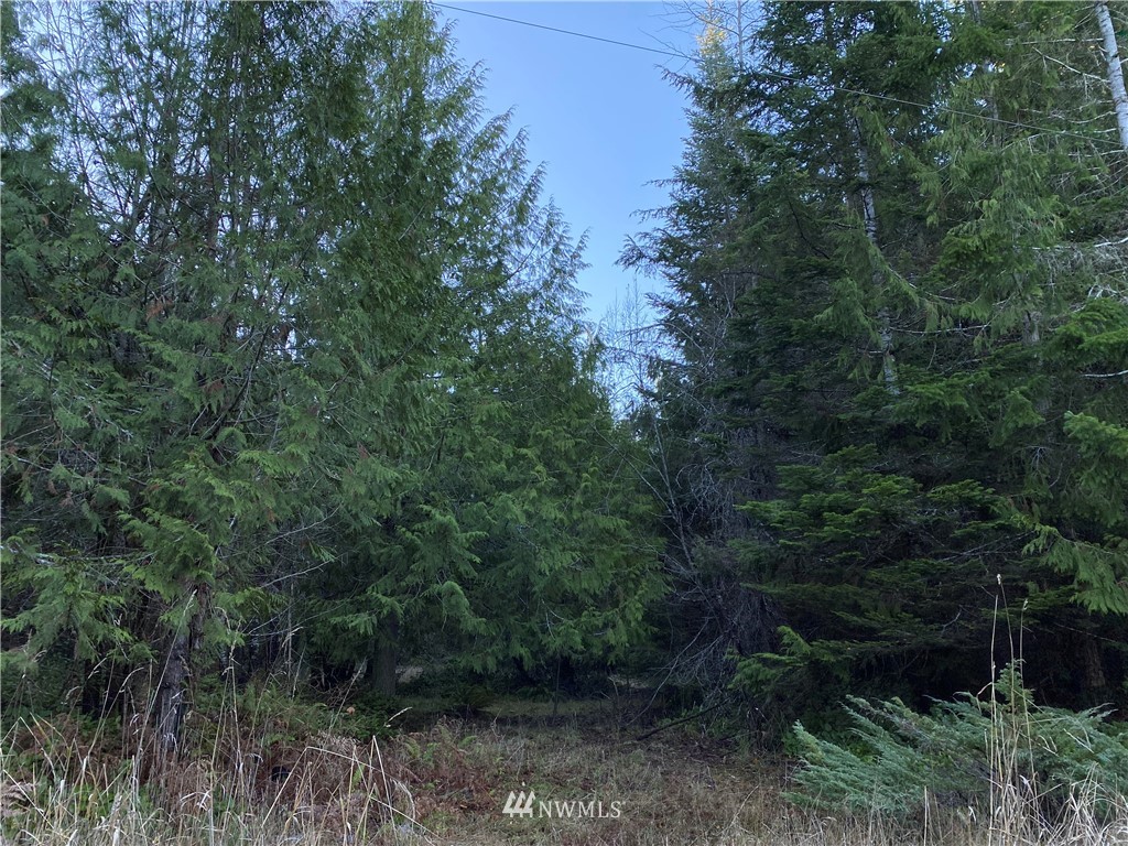 133 North Eldridge Road Sequim, WA 98382 - Photo 7 of 15