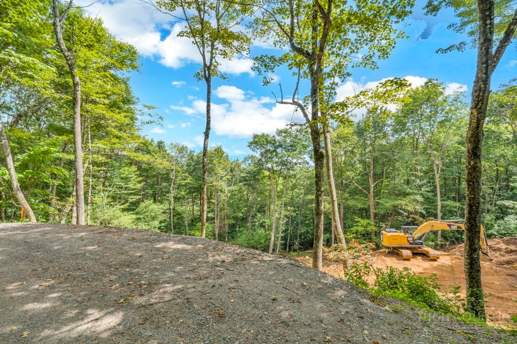 Saddle Road Vilas, NC 28692 - Photo 10 of 34 Gallery Image 10