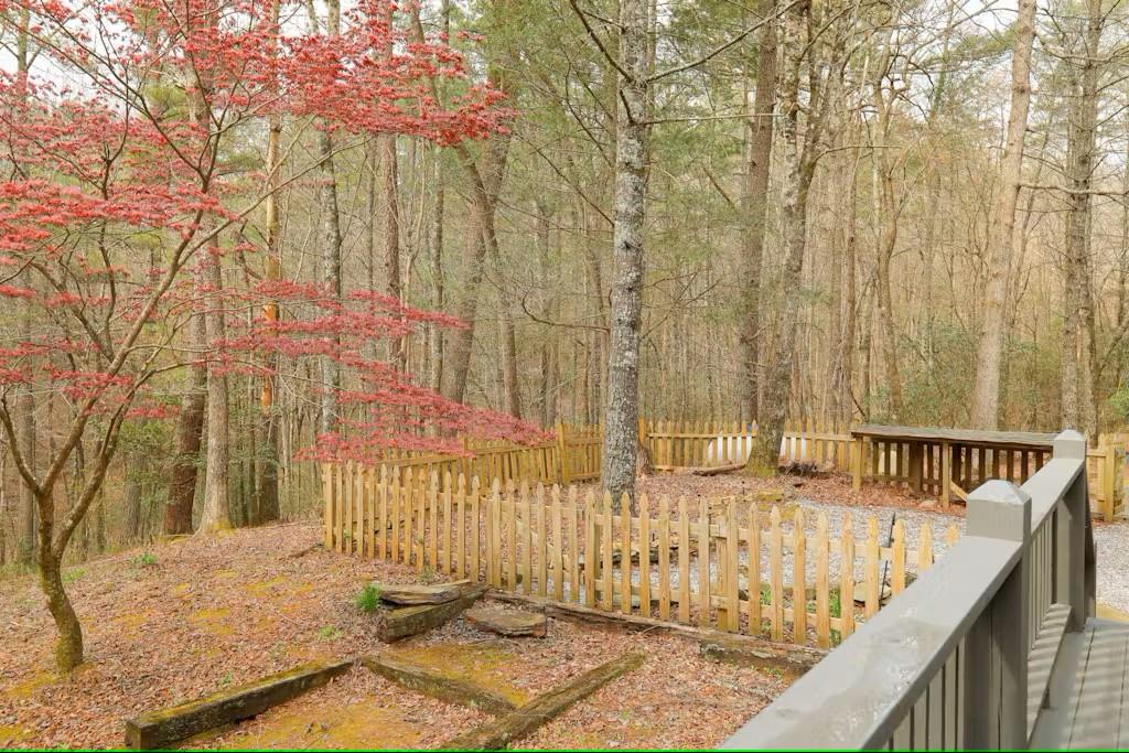 187 Bear Paw Trail Blue Ridge, GA 30513 - Photo 51 of 62 Gallery Image 51