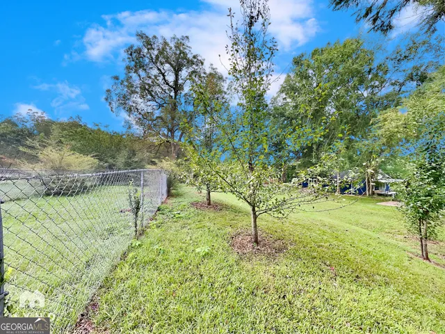 a view of a yard with a tree