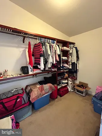 a bedroom with a bed and a walk in closet