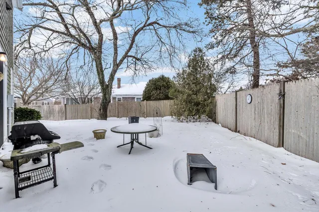 a view of backyard with furniture