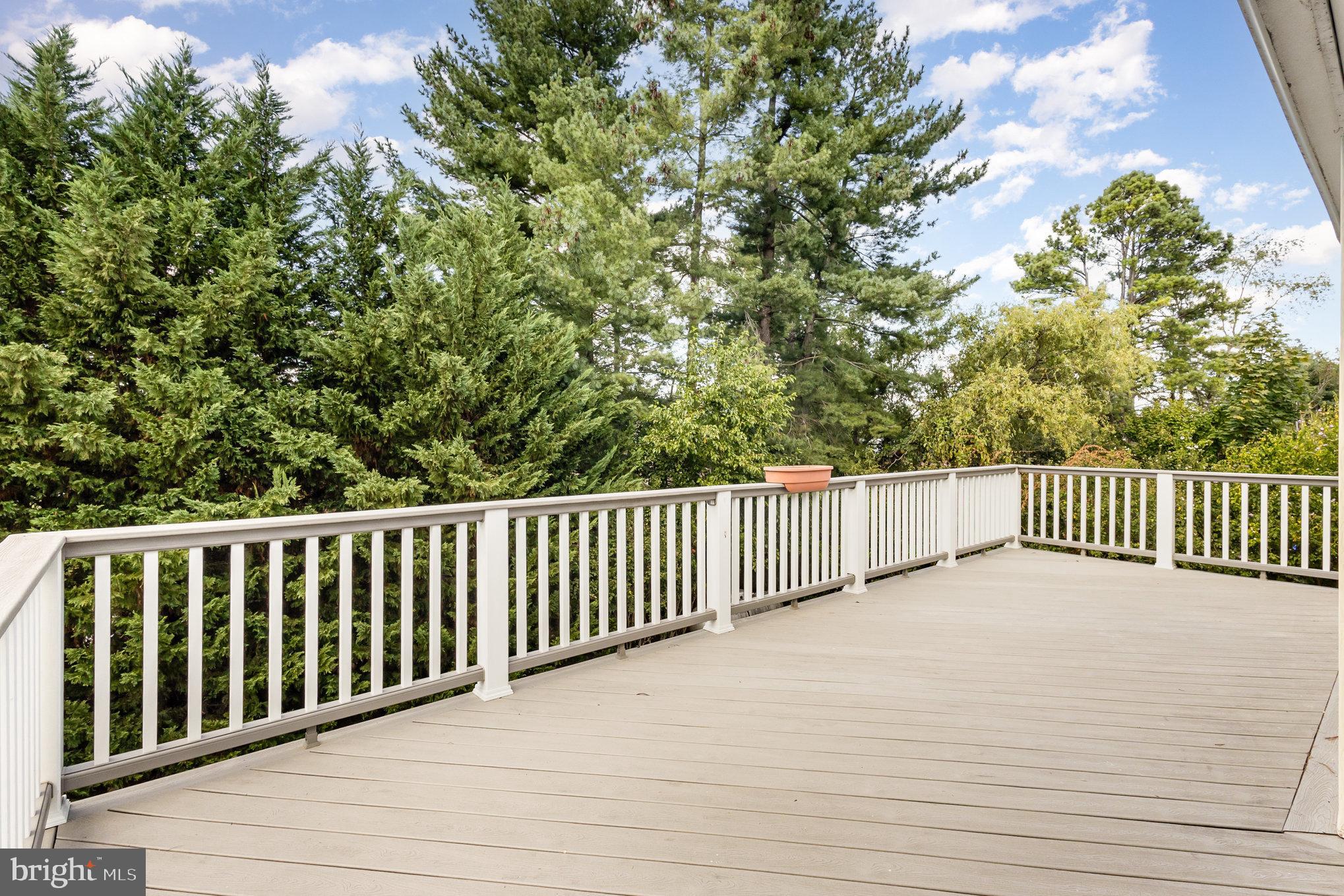 4216 High Ridge Road Haymarket, VA 20169 - Photo 25 of 34 Huge deck