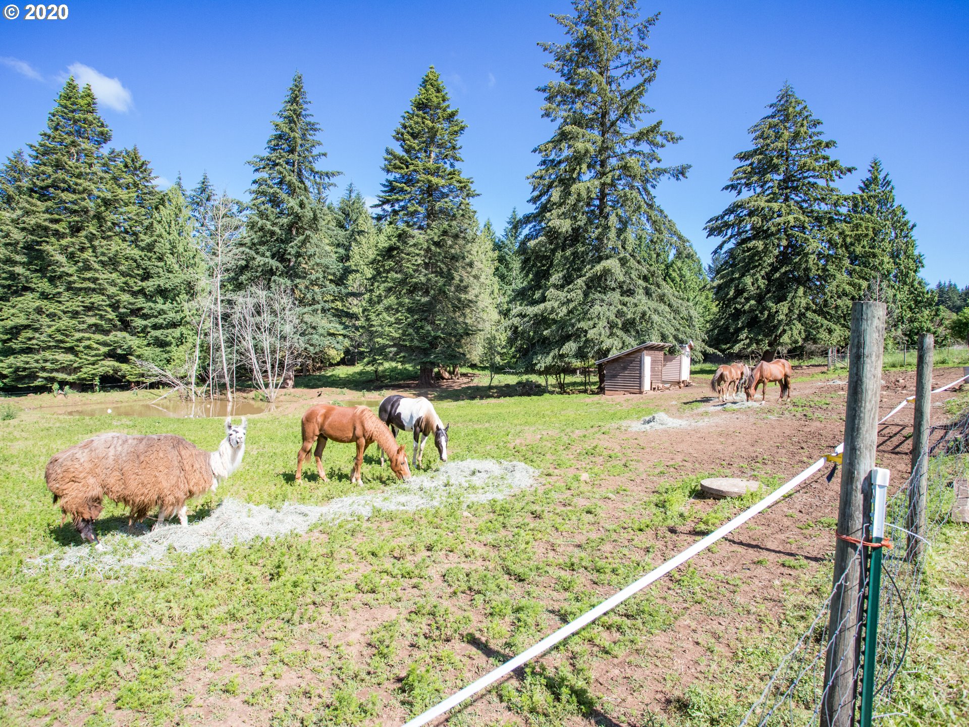 13451 South Union Hall Road Canby, OR 97013 - Photo 22 of 32 Gallery Image 22